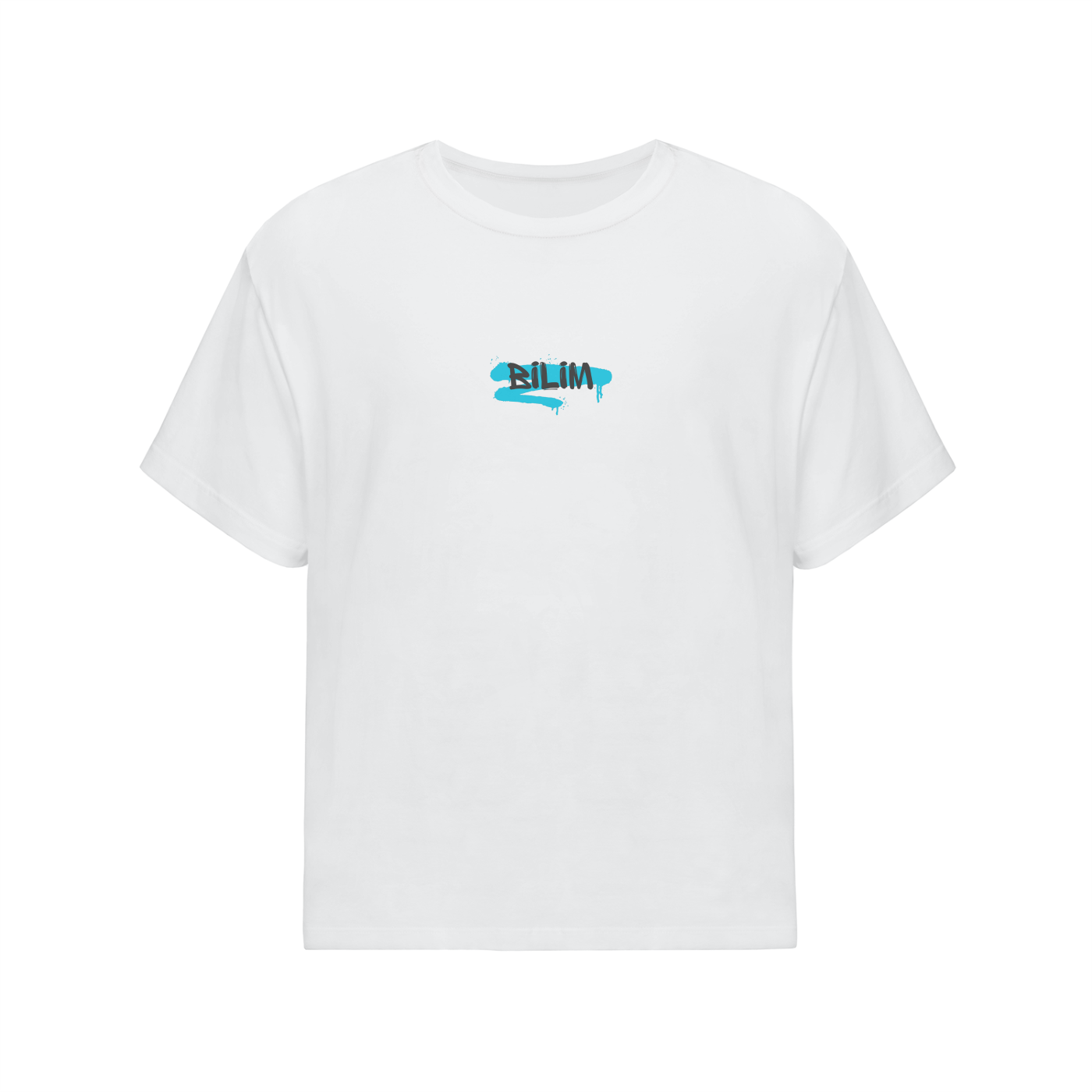 Last Chance/BILIM - Oversized